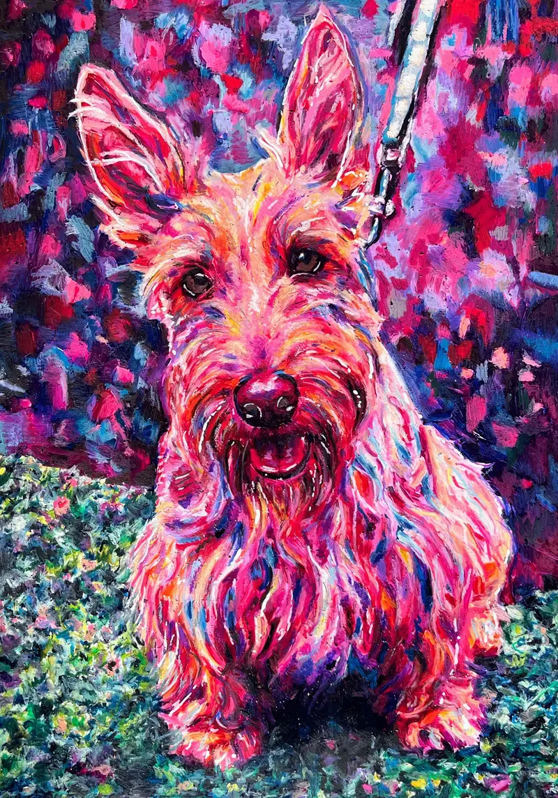 Pet portrait of a Scottish terrier on a lead, coat in reds and pinks over green.